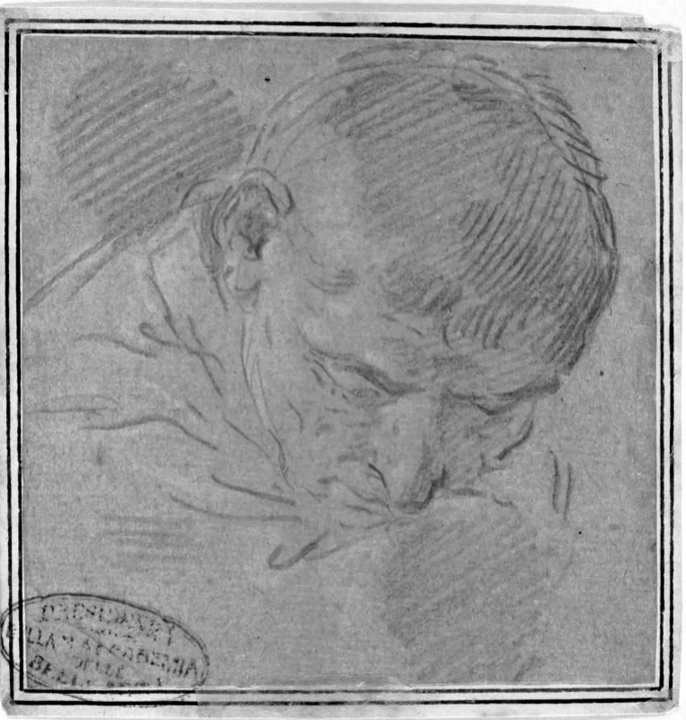 Testa d'uomo - Gallerie dell'Accademia, Venezia